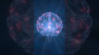 Perception Far Beyond Reading, Writing And Reflecting