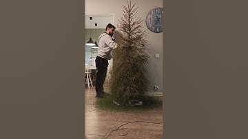 Dad Removes Christmas Tree