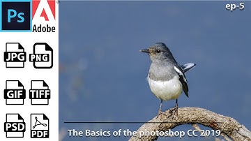 How to save Photoshop images in jpeg png psd pdf formats ep5