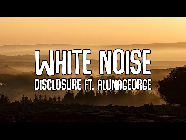 Disclosure - White Noise ft. AlunaGeorge 