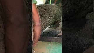 Wood Cutting Made Easy: Best Saws and Tools Reviewed #woodcutting #woodcrafting #woodcraft #asmr