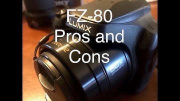 Pros and Cons of Panasonic Lumix FZ-80 (FZ-82)