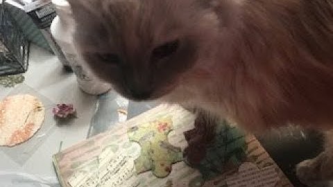 Altered Puzzle Pieces - Part One