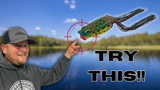 Most Anglers DON’T KNOW How Good A POPPING FROG Is During The Spring!!  (Try THIS Retrieve)