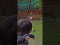 和弓は矢をまっすぐに発射する