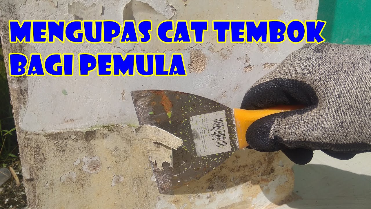 MENGUPAS CAT LAMA PADA TEMBOK MENGGUNAKAN PAINT REMOVER BAGI PEMULA