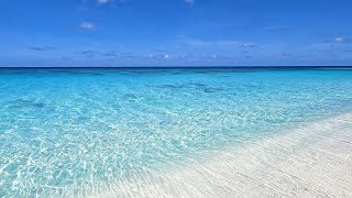 Soothing Sea and Relaxing Wave Sounds