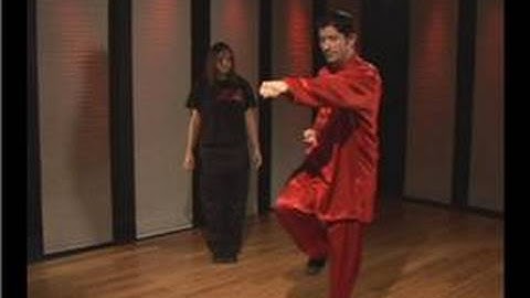 Kung Fu : Tan Tui Right Scrape Block Side Punch