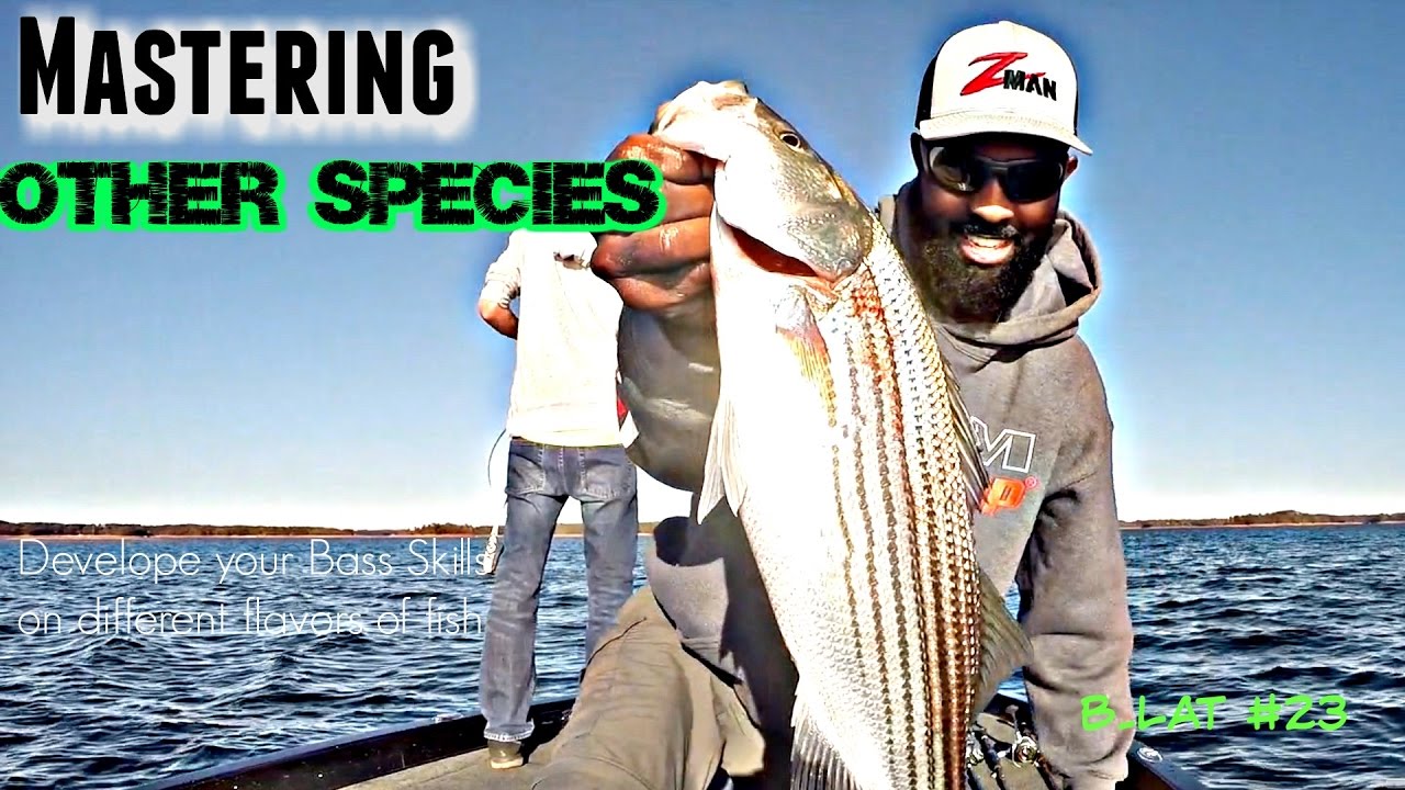 How To a Bass Fisherman (B.Lat 23) YouTube