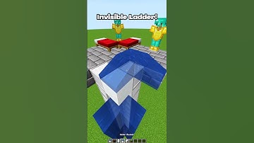 Minecraft Invisible Ladder 🤯 #minecraft #shorts