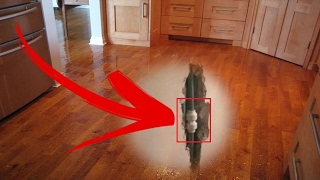 ALMOST FLOODED MY WHOLE APARTMENT