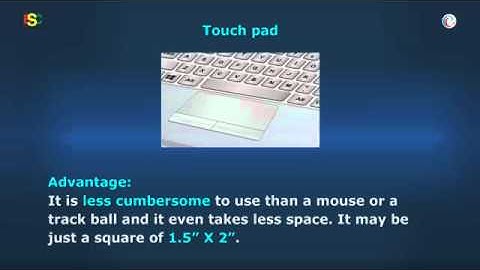 Computer Input devices