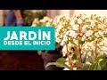 Â¿CoÌmo hacer y planificar un jardiÌn desde el inicio?