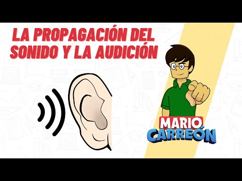 Video: ¿Qué es la propagación del ruido?