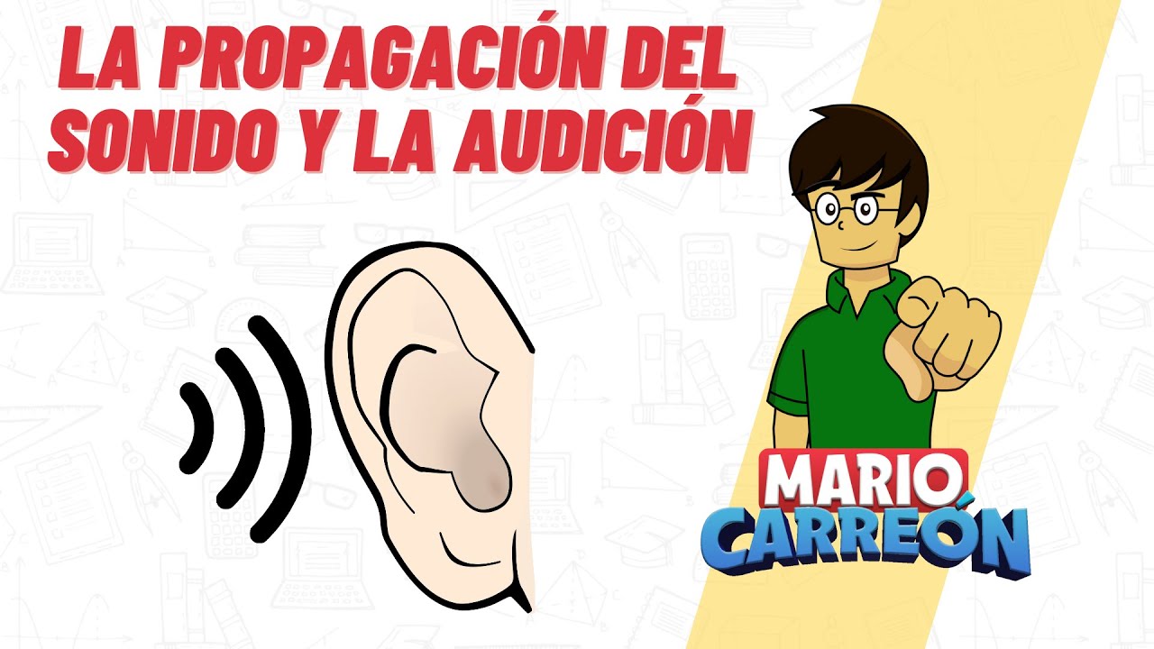 Descartar Privación Demonio La Propagación del Sonido y la Audición 🔈 - YouTube