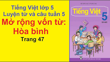TIẾNG VIỆT LỚP 5 – Tuần 5 – Luyện Từ Và Câu – Mở Rộng Vốn Từ Hòa Bình – Trang 47