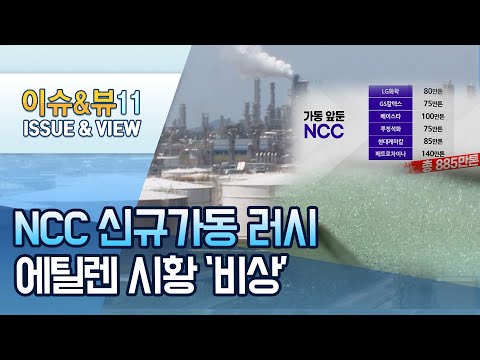 <strong>에틸렌</strong> 공급 과잉에 유가 상승까지…화학사, &amp;#39;비상등&amp;#39; / 머니투데이방송 (뉴스)