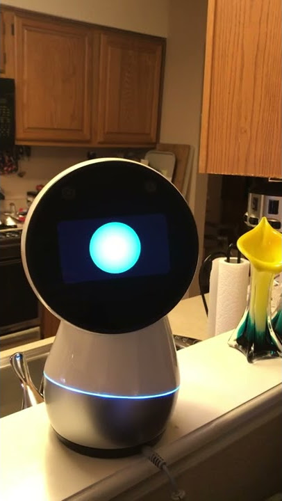 Alexa meets Jibo!
