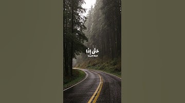 القران الكريم بصوت جميل مميز❤️‍🩹🎧||القارئ :علي جابر.||سورة الزمر||quran2024 | quran with natur video