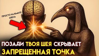 видео: НАЖМИТЕ ЗДЕСЬ и откройте СЕКРЕТНУЮ ТОЧКУ на ШЕЕ, которая ПРОБУЖДАЕТ ЭНЕРГИЮ ЗА МИНУТЫ! Мудрость Тота картинка: НАЖМИТЕ ЗДЕСЬ и откройте СЕКРЕТНУЮ ТОЧКУ на ШЕЕ, которая ПРОБУЖДАЕТ ЭНЕРГИЮ ЗА МИНУТЫ! Мудрость Тота