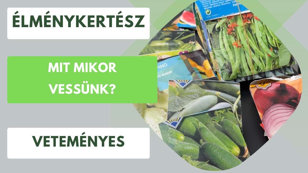 Milyen zöldségekkel indítsuk a szezont a kertben?🌱
