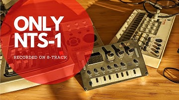 Using only the Korg NTS-1 to make Music ?