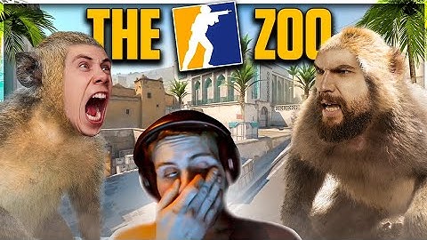 THE CS2 ZOO