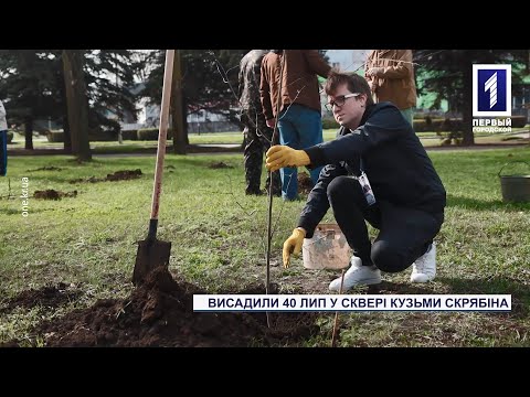 Перший Міський телеканал. Кривий Ріг.: У сквері Кузьми Скрябіна висадили 40 лип