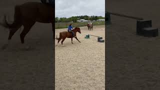 More bareback/tackless riding yesterday#horse #equestrianvibes #equestrian #fypシ #Bentlee #jump -M25