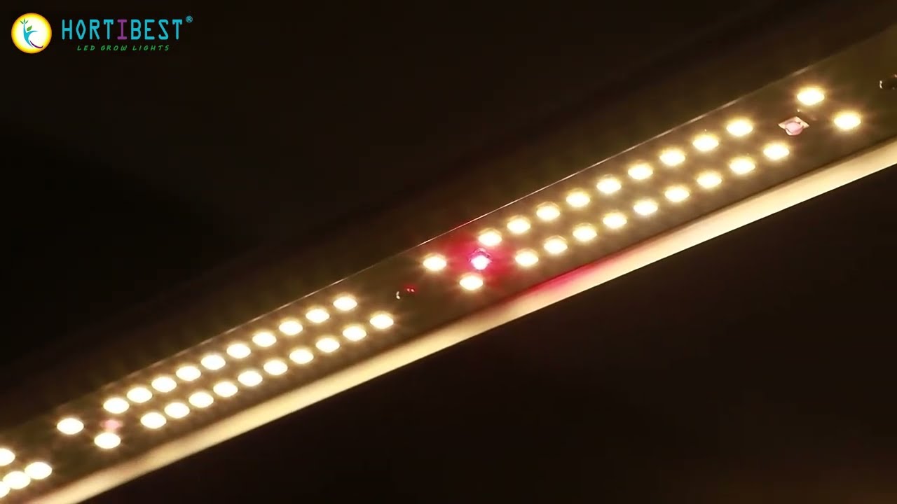 Hortibest Octopus H10L Led Grow Light Brief Introduction
