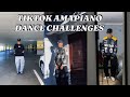 Best Of Amapiano Dance Challenges 2025 Best Of Amapiano Dance Challenges 2025