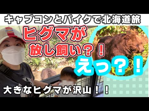 えっ！？大きなヒグマが放し飼い！？その中をバスで！？【キャンピングカーとバイクで北海道旅。前回の続きから】