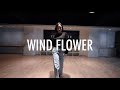 Wind Flower - Mamamoo (마마무) | Hilda Dance Cover | Kpop