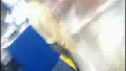 MacWorld Microvision