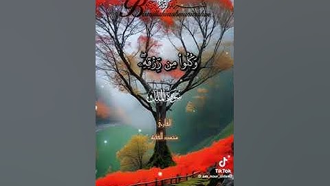 قرآن كريم سورة الملك الشيخ محمد الفقيه