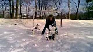21032008.mp4