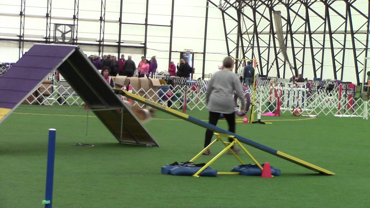 Dixie Std Dauphin 10 22 16 Q - YouTube