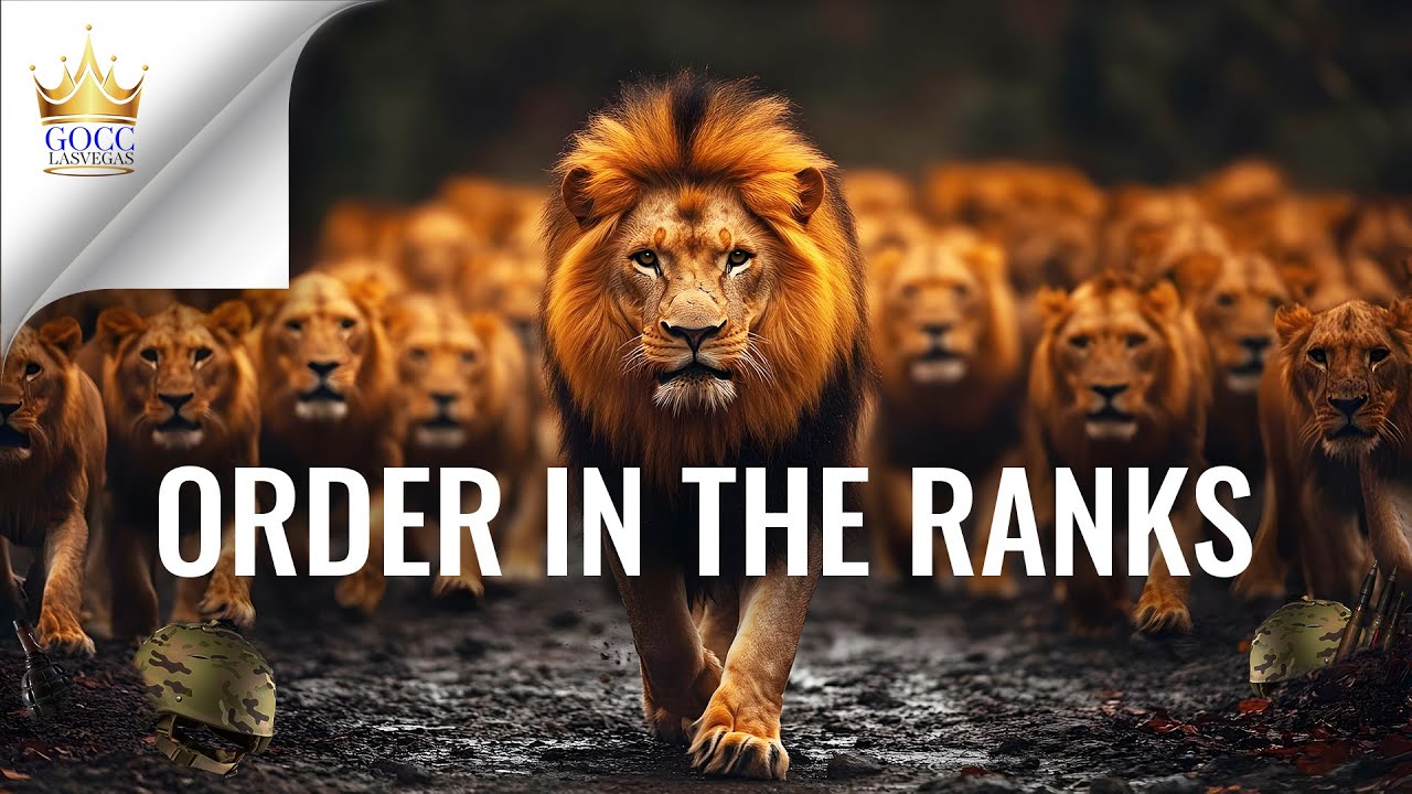 Order In The Ranks | LESSON