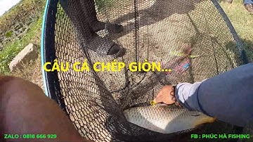 3 BUỔI ĐI CÂU CÁ CHÉP GIÒN VÀ ĐỀU CHUNG 1 KẾT QUẢ - PHÚC HÀ FISHING
