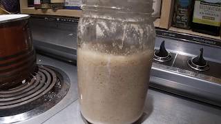 Reviving Neglected Sourdough Starter