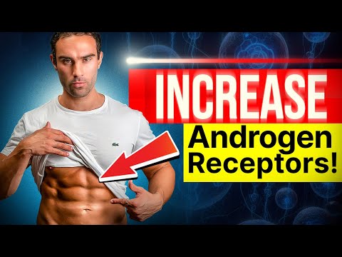How To Increase