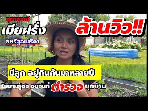 วีดีโอ: อิเล็กโทรด: วันหมดอายุ วิธีเลือกและจัดเก็บ