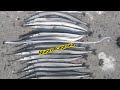 Ловим саргана на пилькер.Ставрида на поплавок.Рыбалка в Чёрном море.We catch garfish on a metal jig.