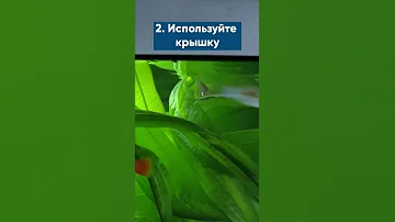 5 фактов о меченосцах #Shorts