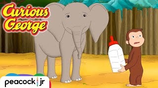 🐘 Befriending a Baby Elephant | CURIOUS GEORGE