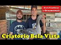 Criatório Bela Vista: Aves Ornamentais e Exóticas. Alternativa de lucro para o Produtor.