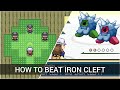 How to beat Iron Cleft (Safari Zone Puzzle) | Celia's Stupid Romhack
