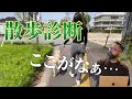 【犬の散歩】これを見ればあなたも散歩マスター!散歩動画を見てアドバイスしてみた