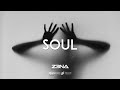 Afrobeat Instrumental 2024 Burna Boy Ft Rema Type Beat "SOUL" Afrobeat Type Beat