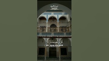قل لن يصيبنا إلا ما كتب الله لنا | أحمد العجمي [سورة التوبة 51]